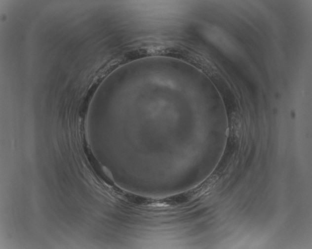 X0000070190650200605261159