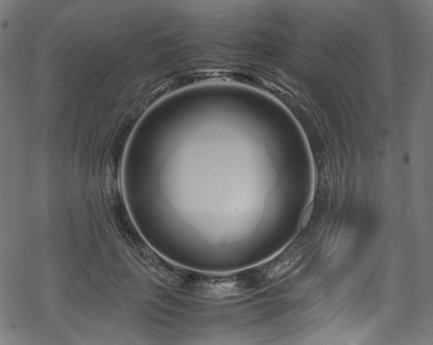 X0000070190651200605261159