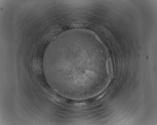 X0000070190653200605261159