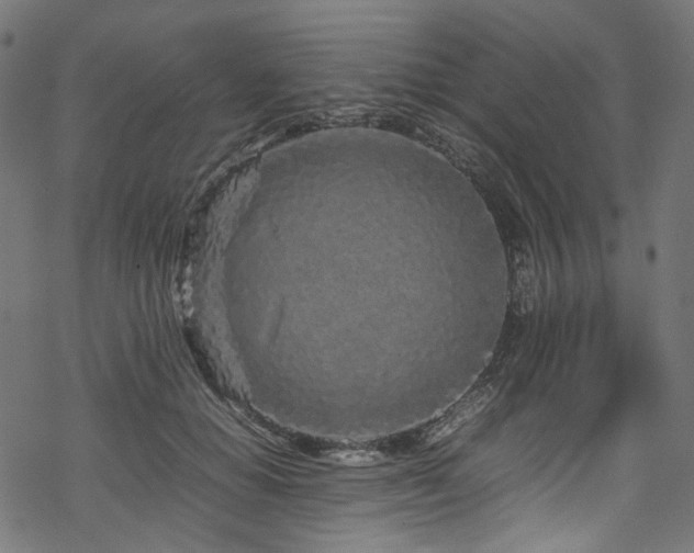 X0000070190654200605261159