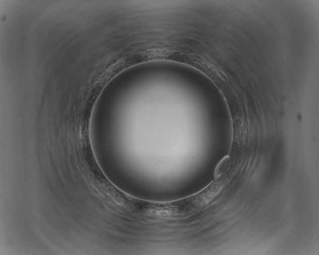 X0000070190655200605261159