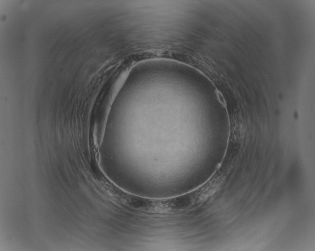 X0000070190656200605261159