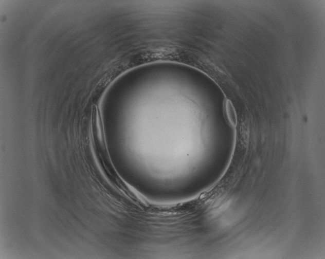 X0000070190657200605261159