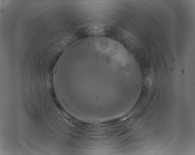 X0000070190658200605261159