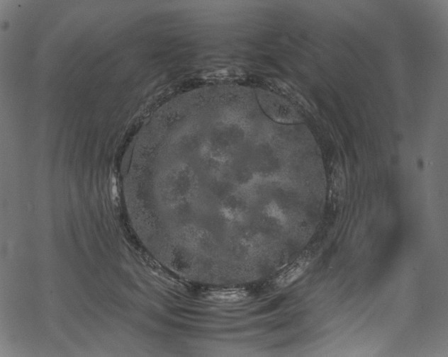 X0000070190659200605261159