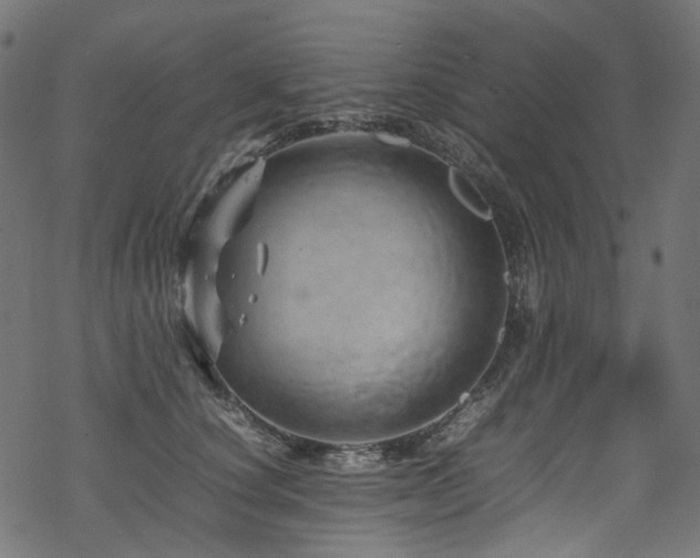 X0000070190660200605261159