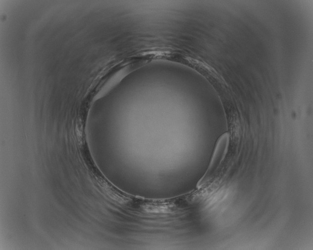 X0000070190661200605261159