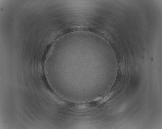 X0000070190662200605261159