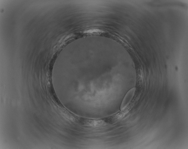 X0000070190663200605261159