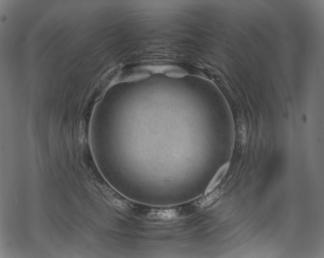 X0000070190665200605261159