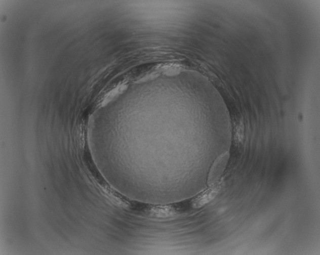 X0000070190666200605261159