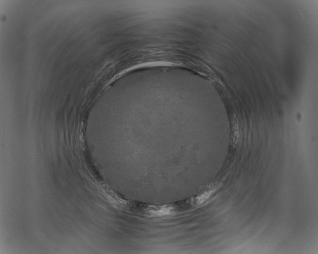 X0000070190667200605261159