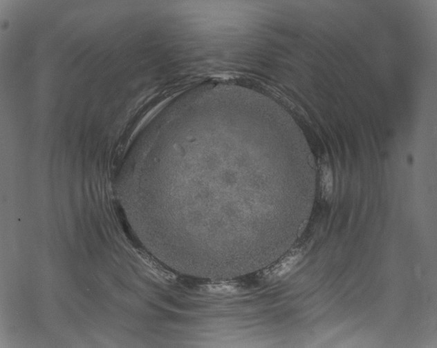 X0000070190668200605261159