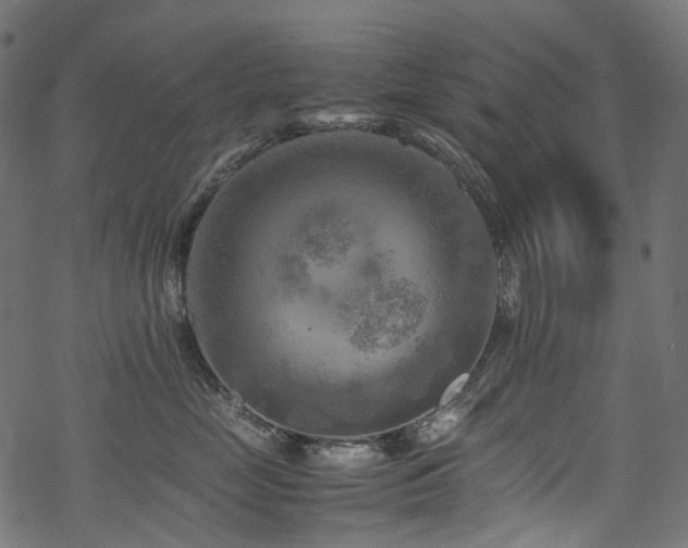 X0000070190669200605261159