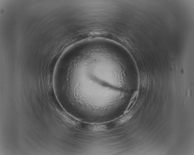 X0000070190670200605261159