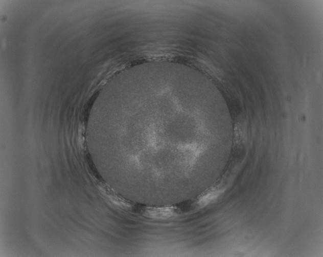 X0000070190671200605261159