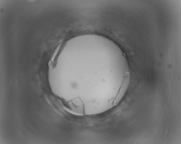 X0000070190672200605261159