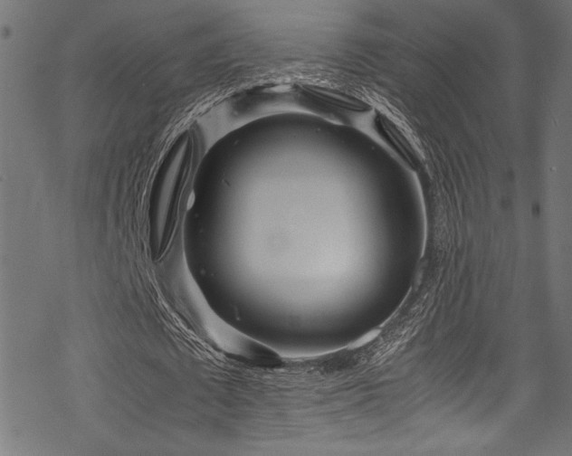 X0000070190673200605261158