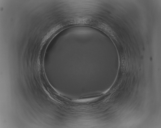 X0000070190674200605261158