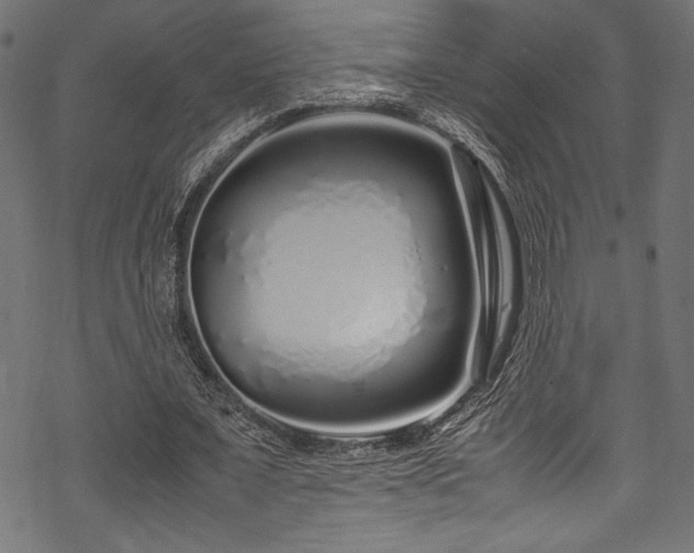 X0000070190675200605261158