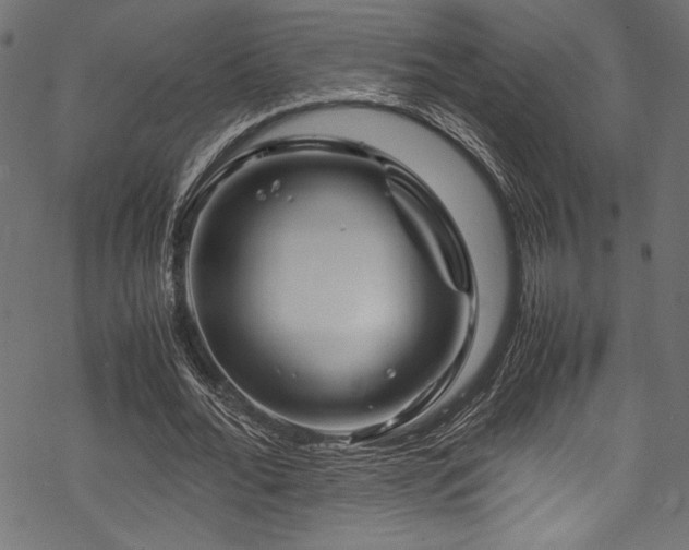 X0000070190676200605261158