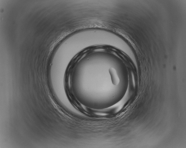 X0000070190677200605261158