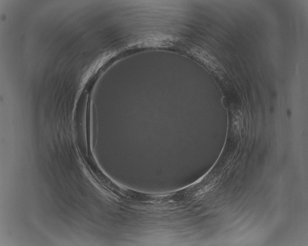 X0000070190678200605261158