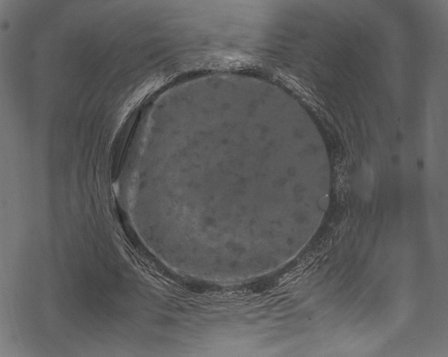 X0000070190679200605261158