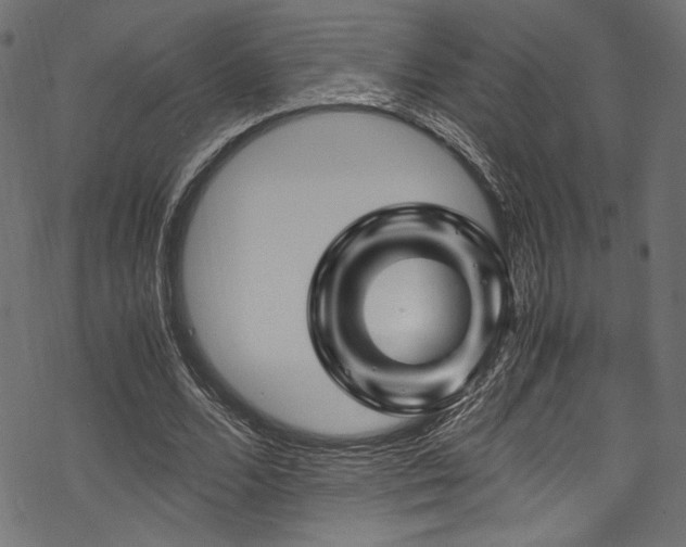 X0000070190680200605261158