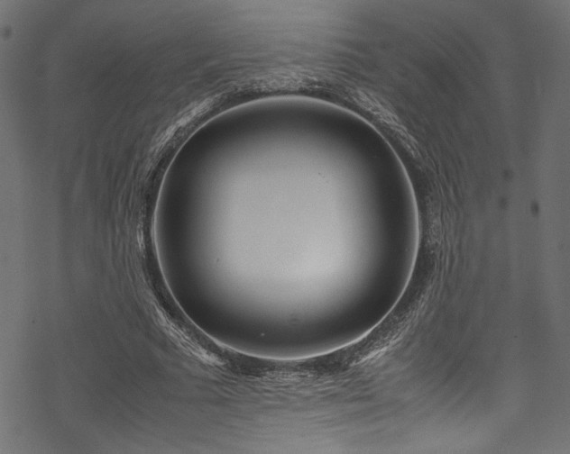 X0000070190681200605261158