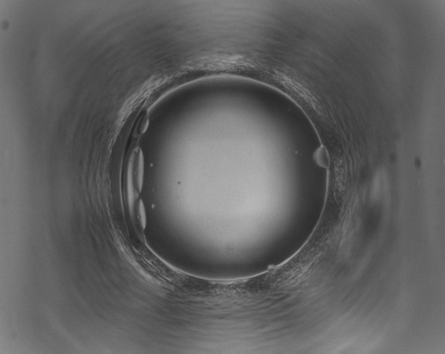 X0000070190682200605261158