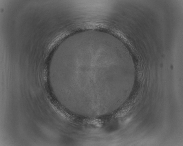 X0000070190683200605261158