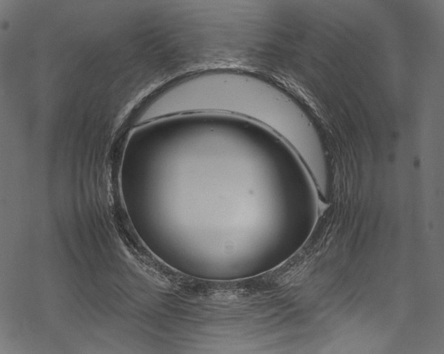 X0000070190684200605261158