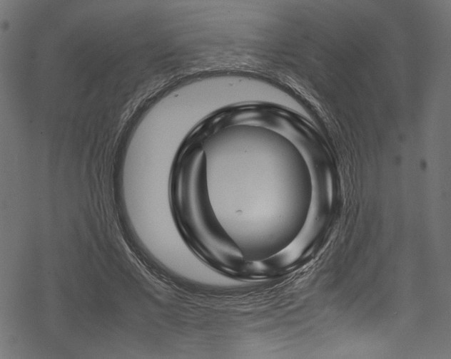 X0000070190685200605261158