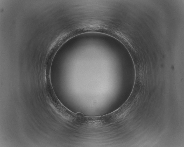 X0000070190686200605261158