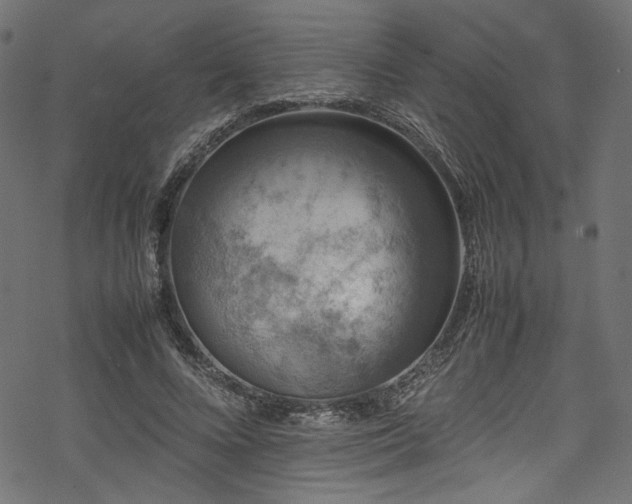 X0000070190688200605261158