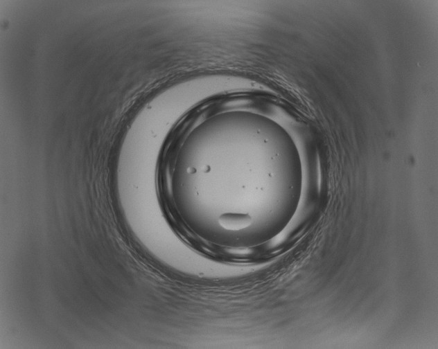 X0000070190689200605261158