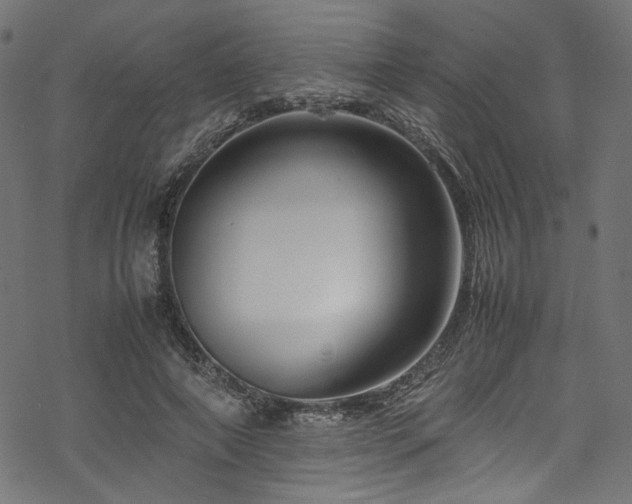 X0000070190690200605261158