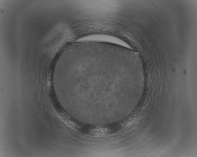 X0000070190691200605261158