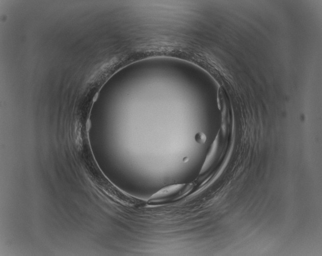 X0000070190692200605261158