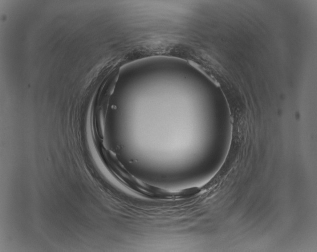 X0000070190693200605261158