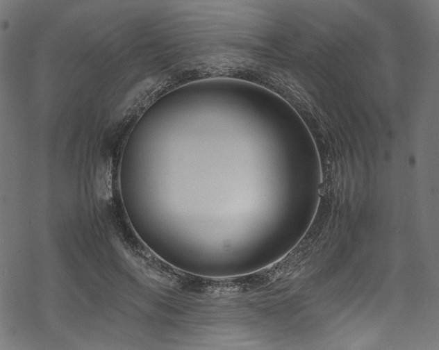 X0000070190694200605261158