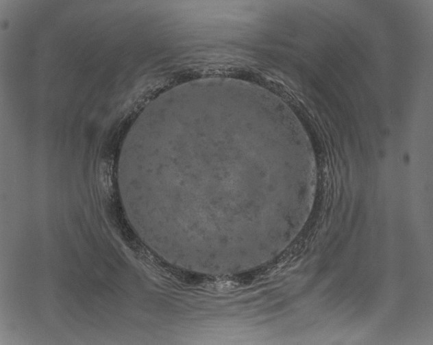 X0000070190695200605261158