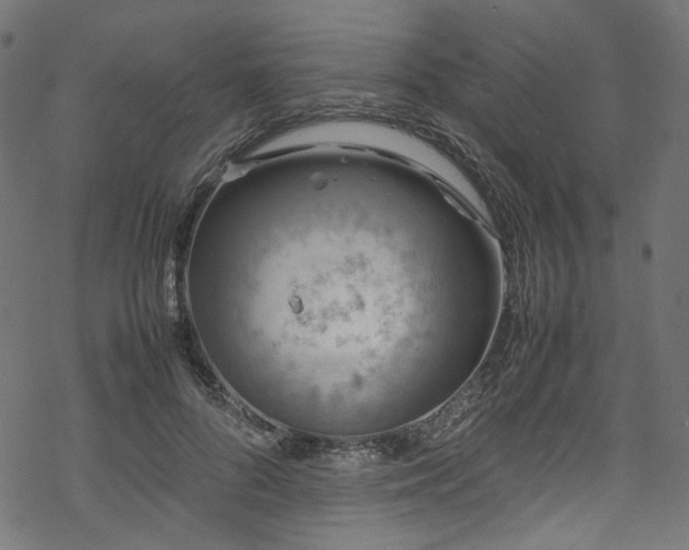 X0000070190696200605261158