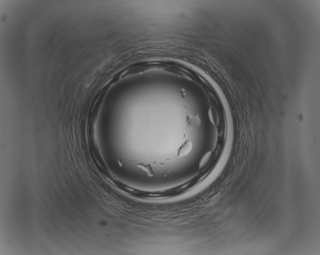 X0000070190697200605261158