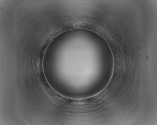 X0000070190698200605261158