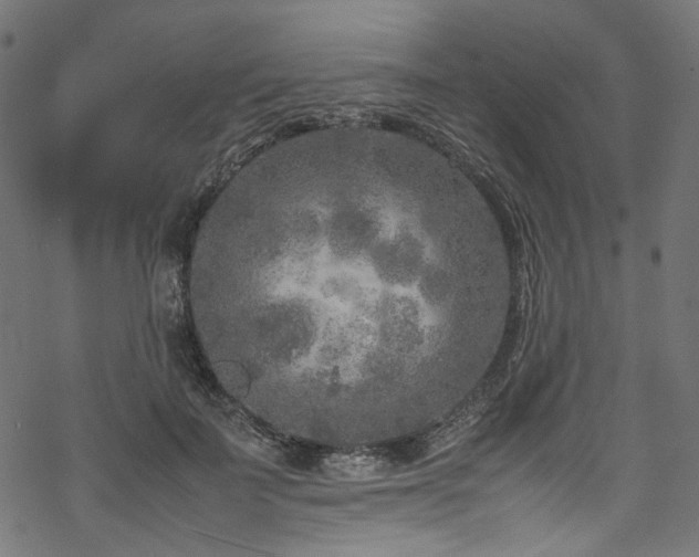 X0000070190699200605261158