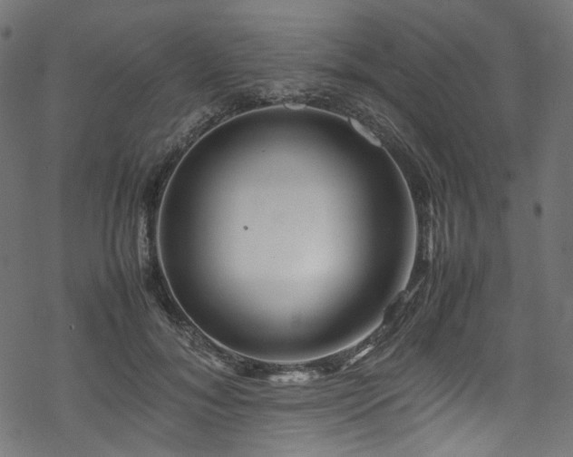 X0000070190700200605261158