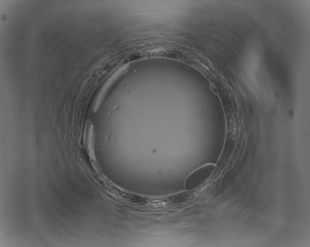 X0000070190701200605261158