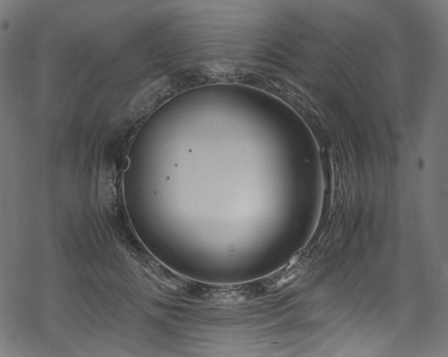 X0000070190702200605261158